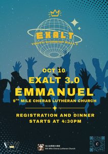 YAY Exalt 3.0 1